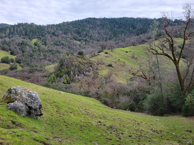0 Covelo Rd, Willits, CA 95490