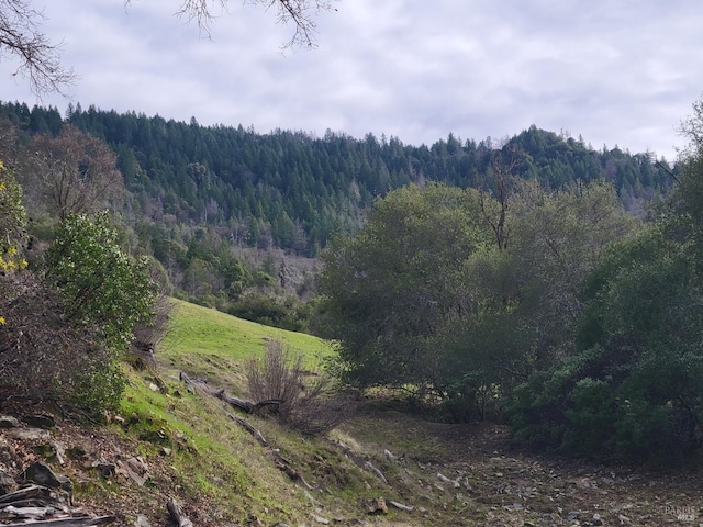 0 Covelo Rd, Willits, CA 95490