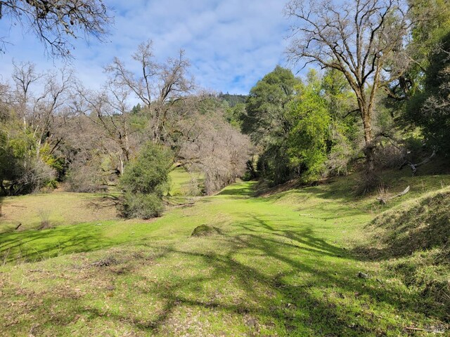 0 Covelo Rd, Willits, CA 95490