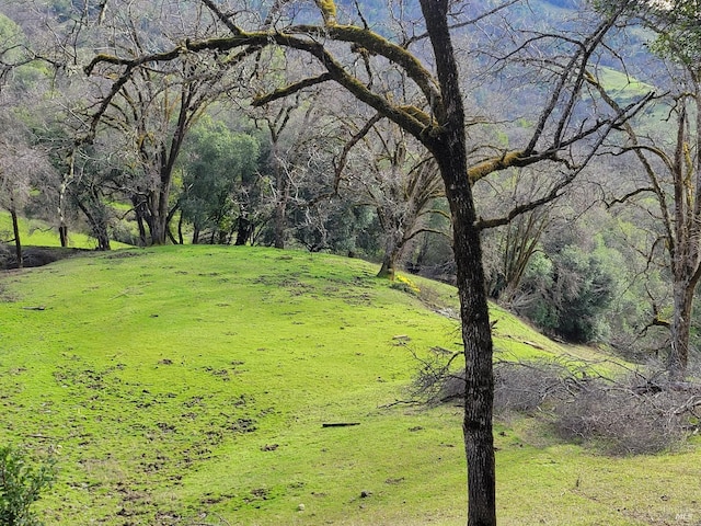 0 Covelo Rd, Willits, CA 95490