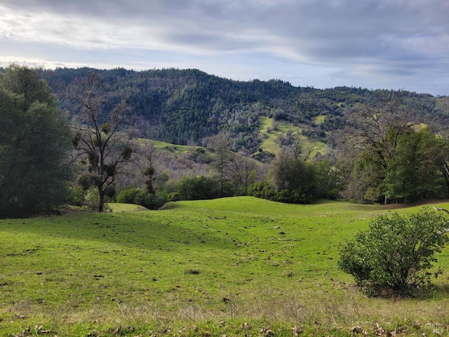 0 Covelo Rd, Willits, CA 95490