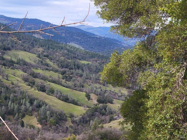 0 Covelo Rd, Willits, CA 95490