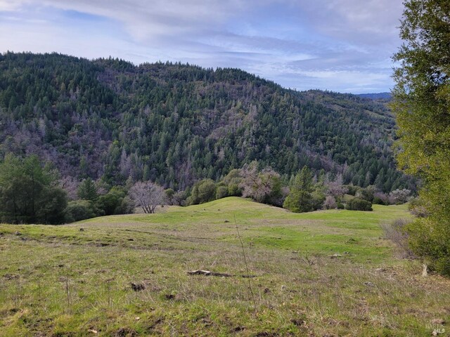 0 Covelo Rd, Willits, CA 95490