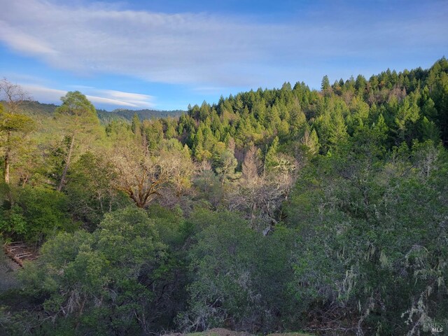 0 Covelo Rd, Willits, CA 95490