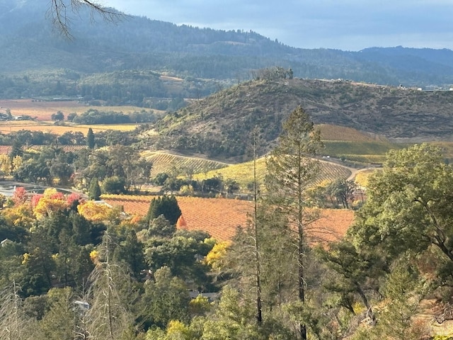 mountain view with a rural view