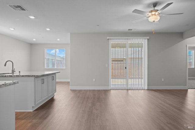 kitchen featuring sink, a wealth of natural light, light stone countertops, and dark hardwood / wood-style flooring