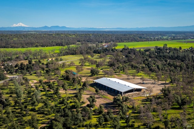 bird's eye view with a mountain view