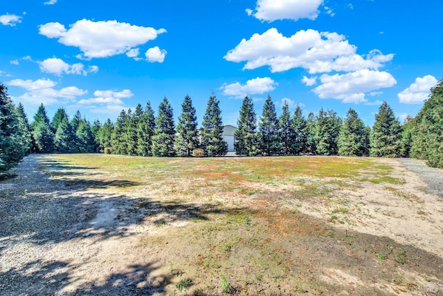 view of local wilderness