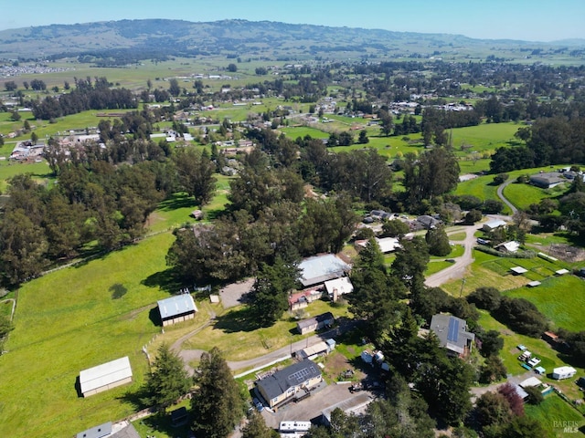 aerial view