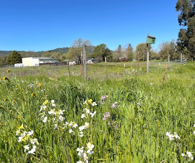 1025 Laurel Ave, Sonoma CA, 95476 land for sale