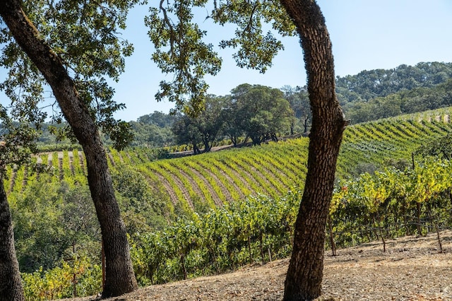 view of nature featuring a rural view