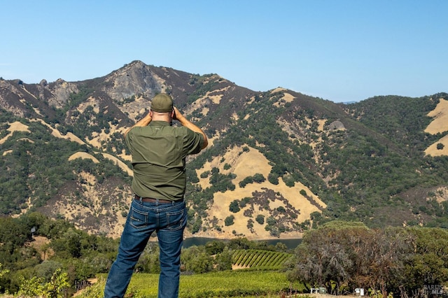 view of mountain view