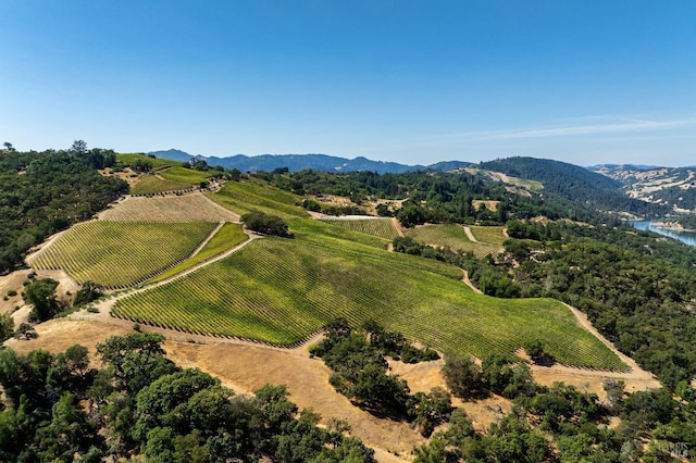 birds eye view of property with a mountain view and a rural view