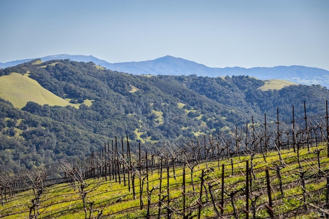 mountain view with a rural view