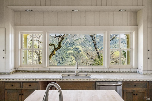 kitchen with sink, plenty of natural light, and dishwasher