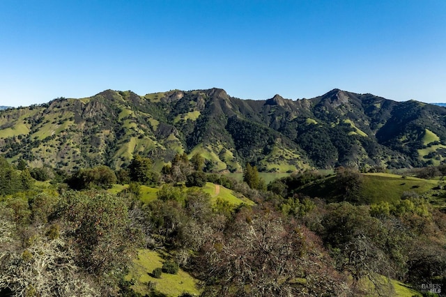 view of mountain view