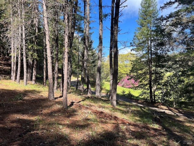201 Pine Ridge Rd, Ukiah, CA 95482 - view of local wilderness