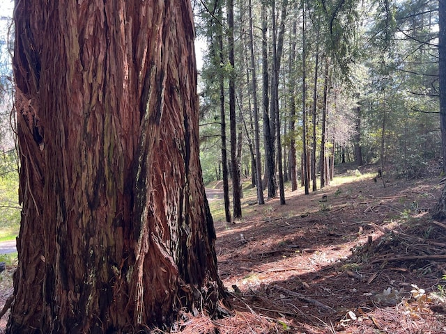 201 Pine Ridge Rd, Ukiah, CA 95482 - view of nature with a view of trees