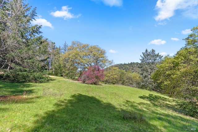 201 Pine Ridge Rd, Ukiah, CA 95482 - view of yard