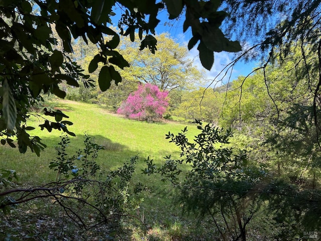 201 Pine Ridge Rd, Ukiah, CA 95482 - view of yard featuring a wooded view