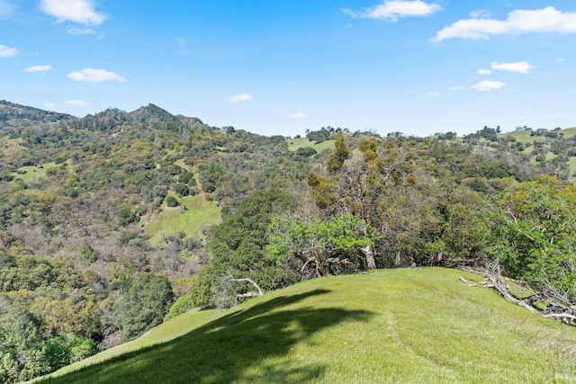 201 Pine Ridge Rd, Ukiah, CA 95482 - birds eye view of property featuring a view of trees