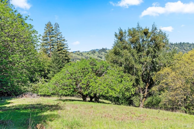 201 Pine Ridge Rd, Ukiah, CA 95482 - view of nature featuring a view of trees