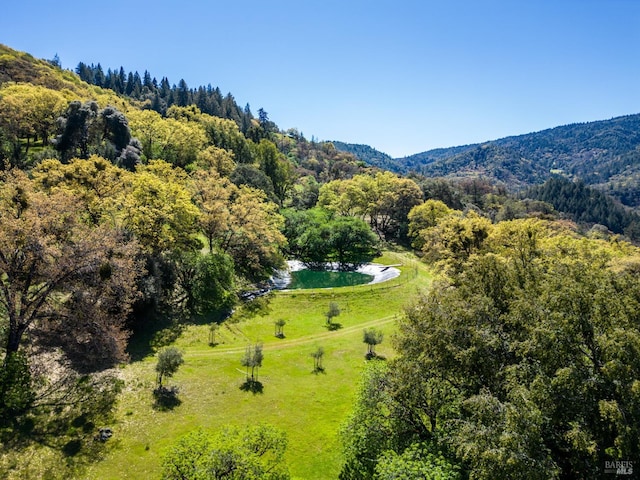 201 Pine Ridge Rd, Ukiah, CA 95482 - birds eye view of property with a mountain view and a forest view