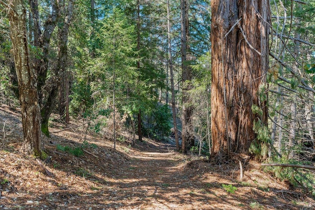 201 Pine Ridge Rd, Ukiah, CA 95482 - view of landscape with a view of trees