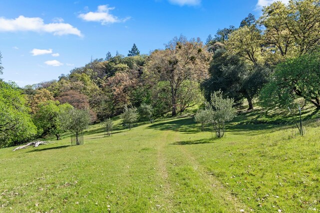 201 Pine Ridge Rd, Ukiah, CA 95482 - view of yard