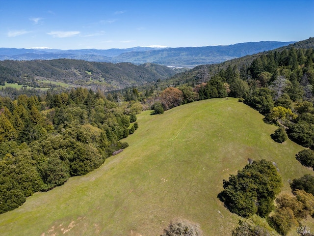 201 Pine Ridge Rd, Ukiah, CA 95482 - birds eye view of property featuring a wooded view and a mountain view