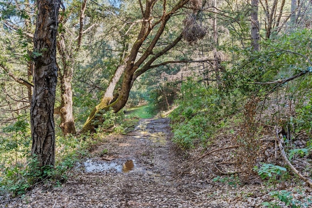 201 Pine Ridge Rd, Ukiah, CA 95482 - view of landscape with a view of trees