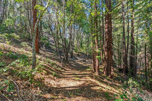 201 Pine Ridge Rd, Ukiah, CA 95482 - view of nature with a forest view