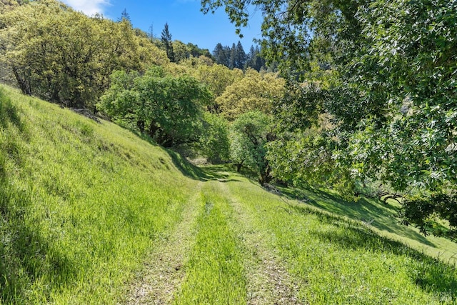 201 Pine Ridge Rd, Ukiah, CA 95482 - bird's eye view with a forest view
