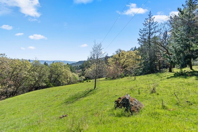 201 Pine Ridge Rd, Ukiah, CA 95482 - view of yard with a view of trees, a mountain view, and a rural view