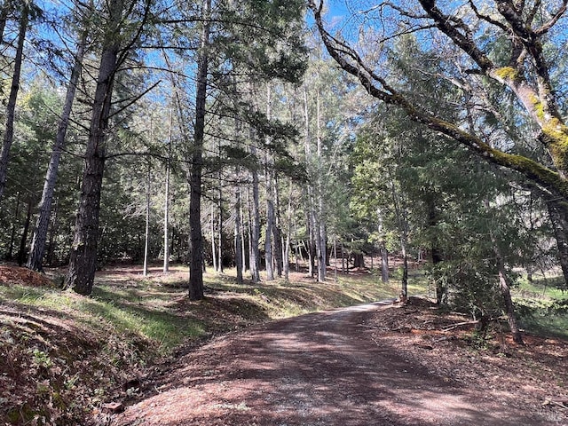 201 Pine Ridge Rd, Ukiah, CA 95482 - view of street featuring a view of trees