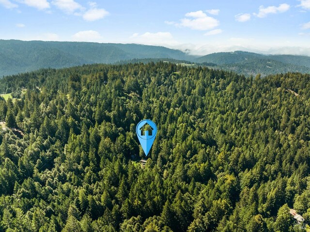 birds eye view of property featuring a mountain view