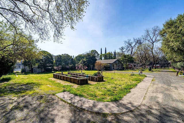 surrounding community featuring a vegetable garden and a lawn