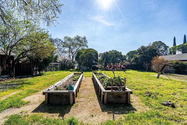 view of community with a yard, a vegetable garden, and fence