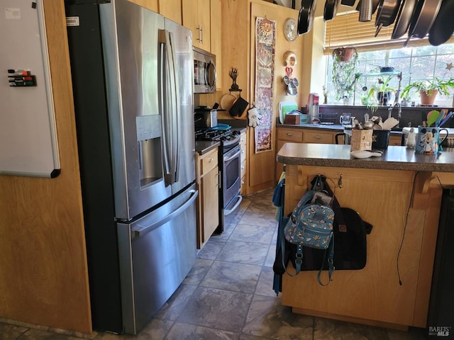 kitchen with kitchen peninsula and stainless steel appliances