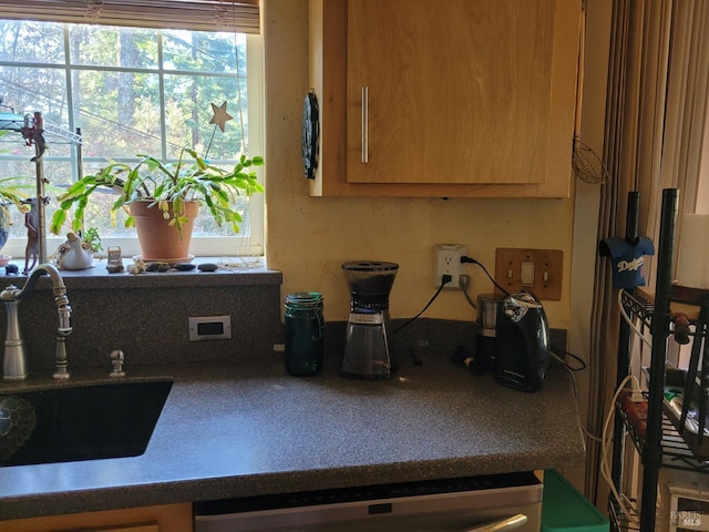 kitchen with sink and stainless steel dishwasher