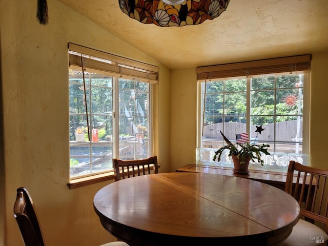 dining room featuring vaulted ceiling and a healthy amount of sunlight