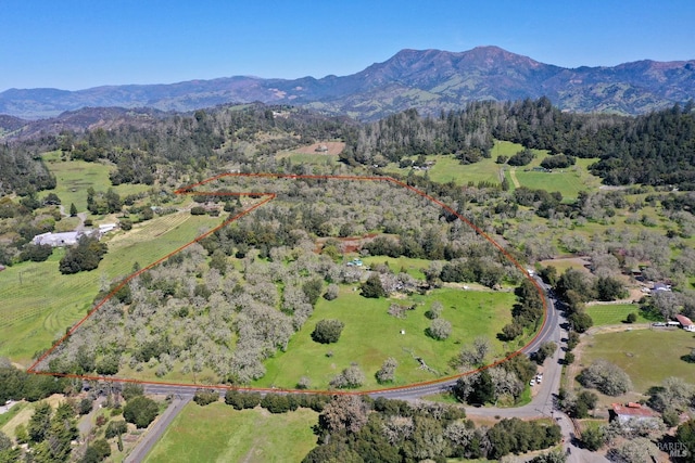 drone / aerial view featuring a mountain view and a rural view