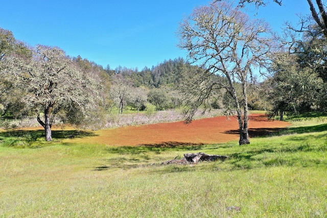 view of community with a rural view