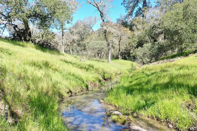 view of nature