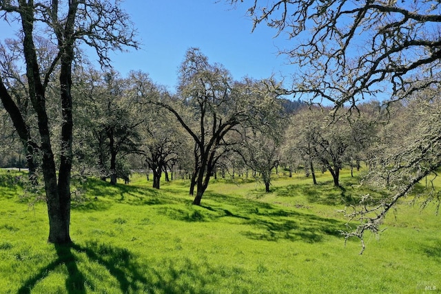 view of nature