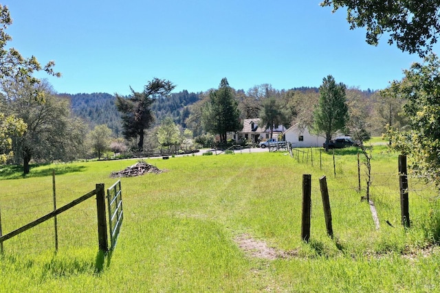 view of yard with a mountain view and a rural view