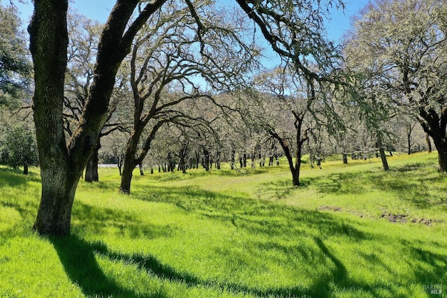 view of landscape