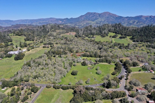 birds eye view of property with a mountain view