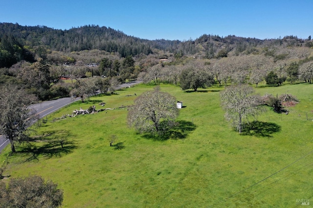 birds eye view of property featuring a mountain view and a rural view