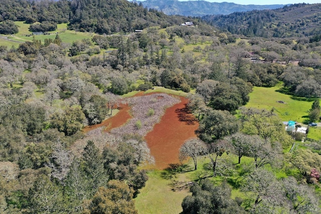 aerial view with a mountain view